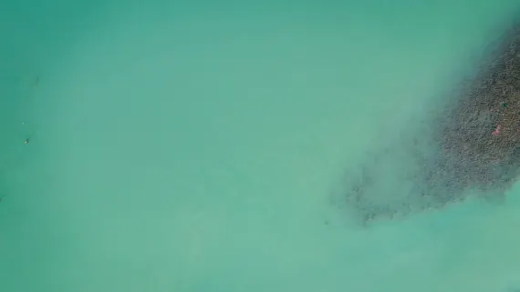 Casino Lucky Luke Ondersteuning